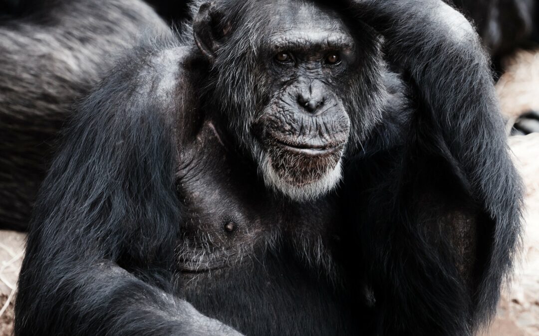 Wie du aufhörst jede Kleinigkeit zu zerdenken…  5 Tipps