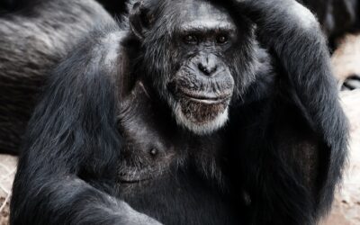 Wie du aufhörst jede Kleinigkeit zu zerdenken… 5 Tipps